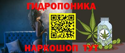 спиды Заволжье