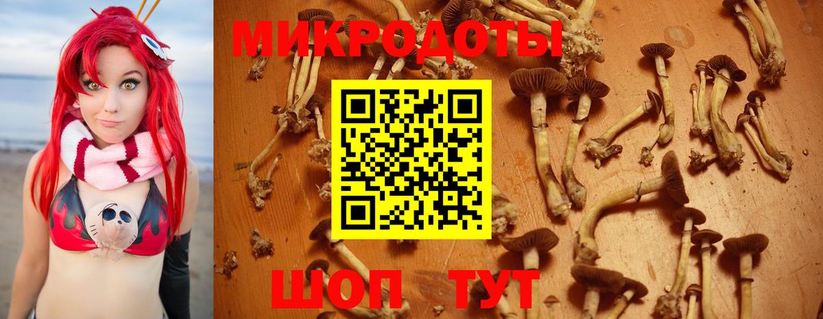 Псилоцибиновые грибы ЛСД Лысьва