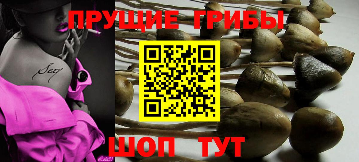 Псилоцибиновые грибы Cubensis  Галлюциногенные грибы Magic Shrooms  Лысьва 